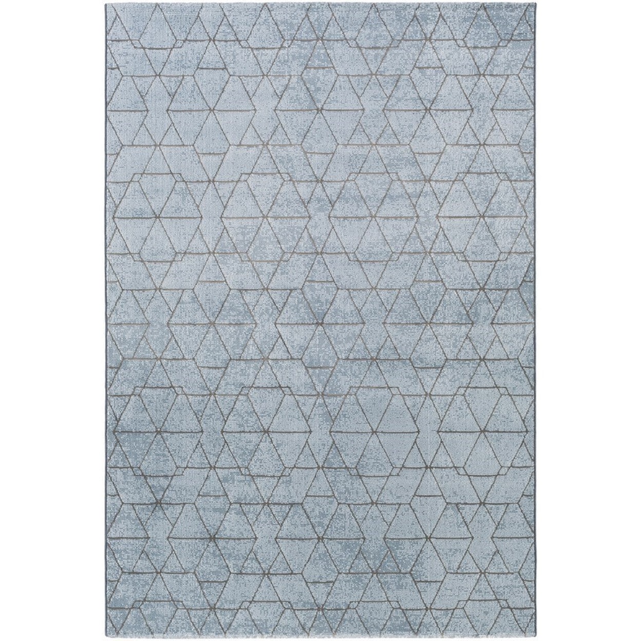 Surya Contempo 3'11" x 5'7" Rug