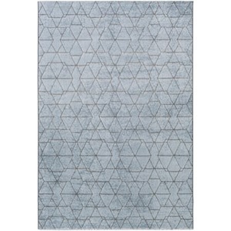 3'11" x 5'7" Rug