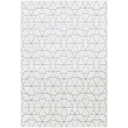 7'10" x 10' Rug