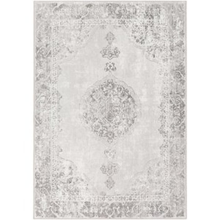 2' x 3' Rug