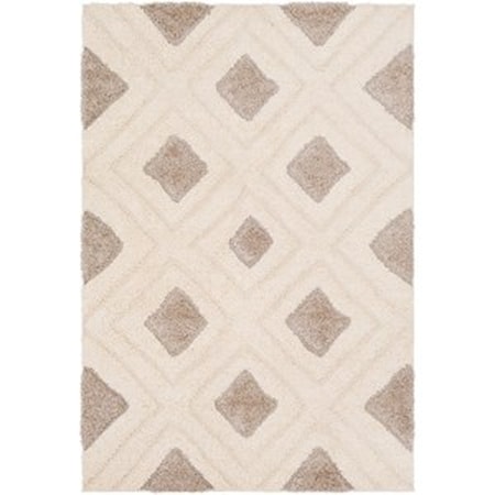 2' x 3' Rug