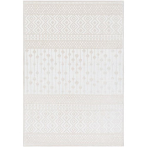 5'3" x 7'3" Rug