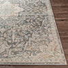 Surya Dryden 2' x 3' Rug