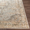 Surya Dryden 2' x 3' Rug