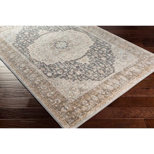 Surya Dryden 5'3" x 7'3" Rug