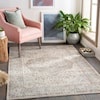 Surya Dryden 5'3" x 7'3" Rug