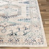 Surya Dublin 2' x 3'2" Rug