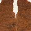 Surya Duke 5' x 7' Rug