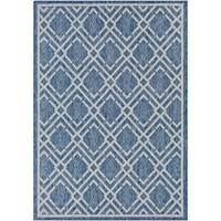 7'10" x 10'3" Rug