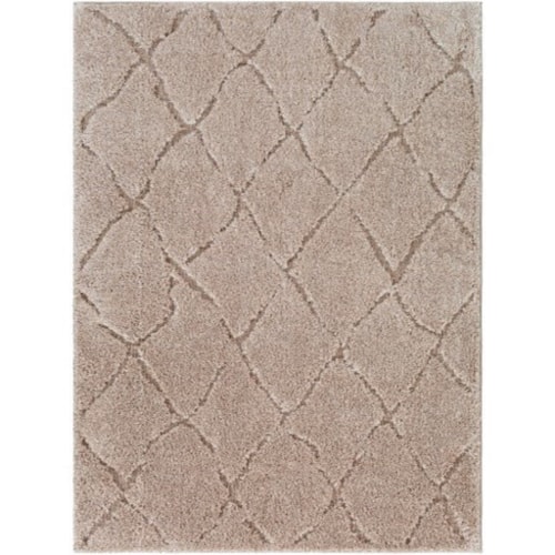 5'3" x 7'3" Rug