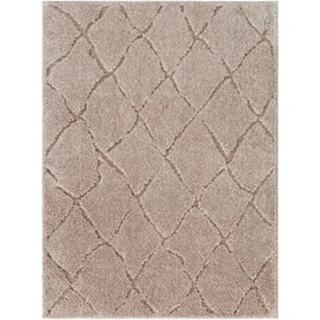 5'3" x 7'3" Rug
