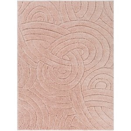 5'3" x 7'3" Rug