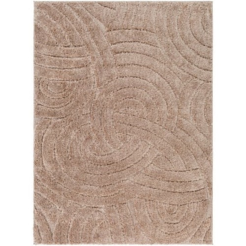 5'3" x 7'3" Rug