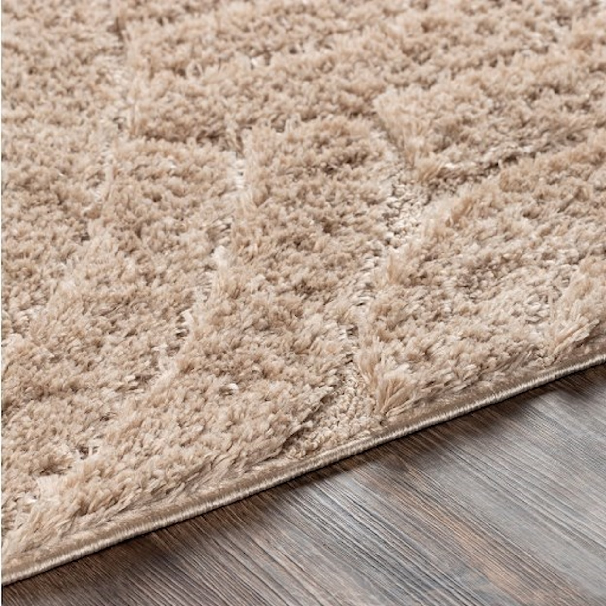 Surya Elenor 7'10" x 10' Rug