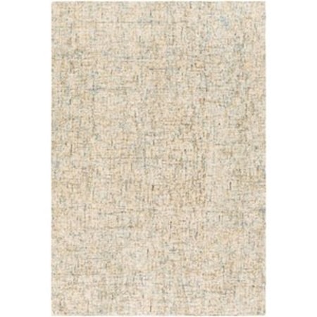 2' x 3' Rug