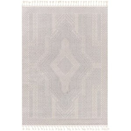 6'7" x 9' Rug