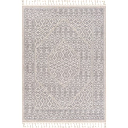 2' x 3' Rug