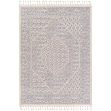 7'10" x 10' Rug