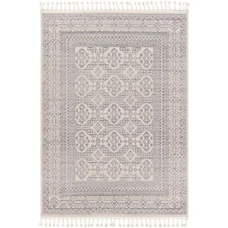 2' x 3' Rug