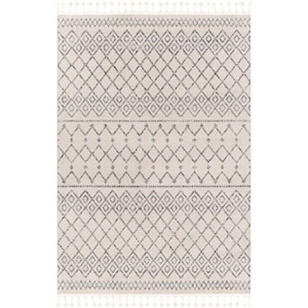 6'7" x 9' Rug