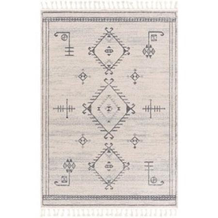 2' x 3' Rug