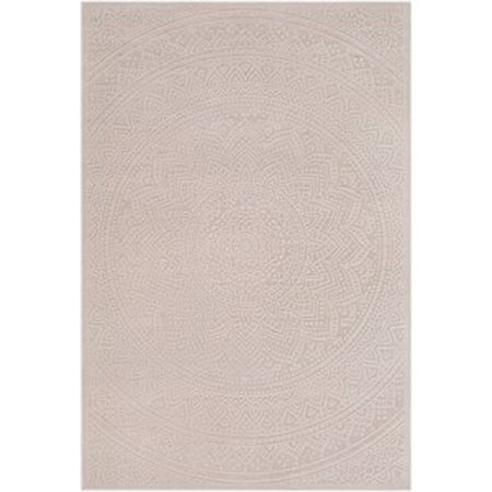5' 3" x 7' 6" Rug