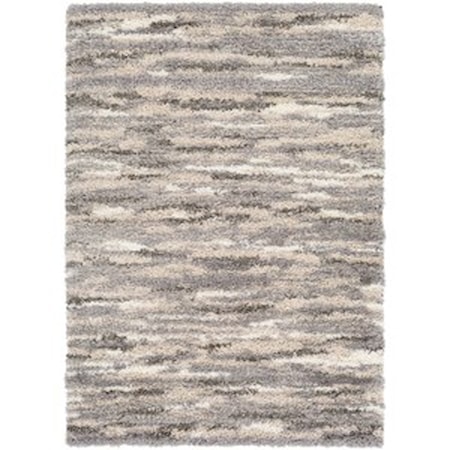 2' x 3' Rug