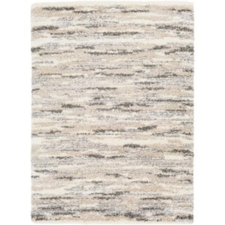 2' x 3' Rug
