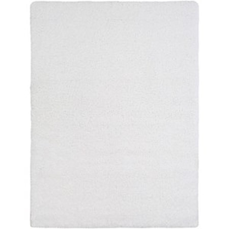 6'7" x 9'6" Rug