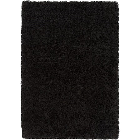 2' x 3' Rug