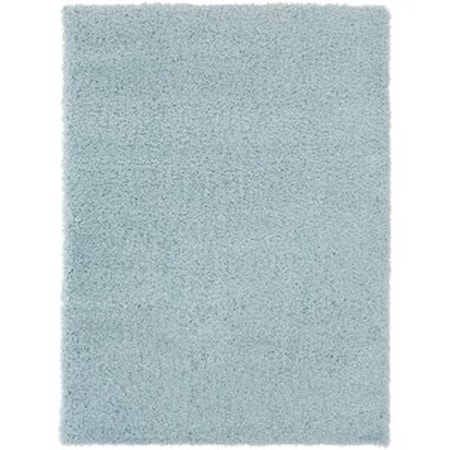 2' x 3' Rug