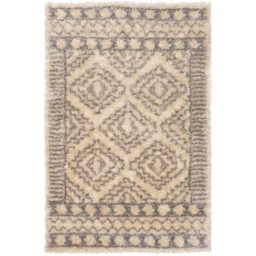 2' x 3' Rug
