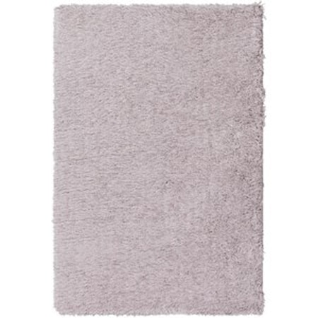 2' x 3' Rug