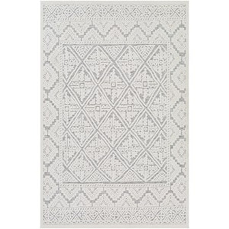 5'3" x 7'3" Rug