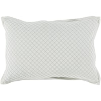 13 x 19 x 0.25 Pillow Cover