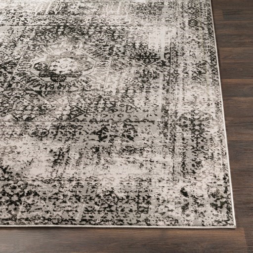 2'7" x 7'3" Rug