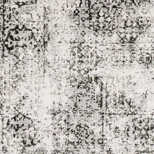 Surya Himalayan 2'7" x 7'3" Rug