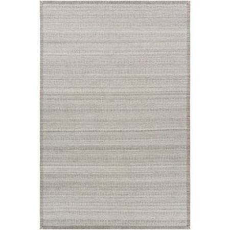2' x 3' Rug