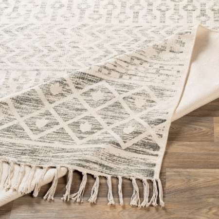 2&apos; x 3&apos; Rug