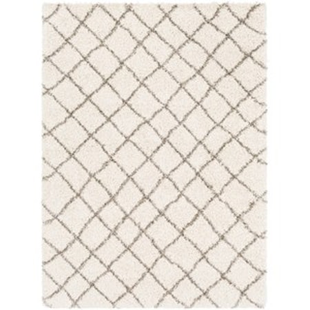 5' 3" x 7' 6" Rug