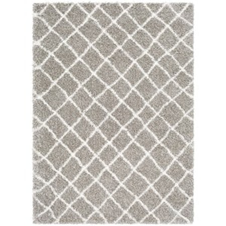 2' x 3' Rug