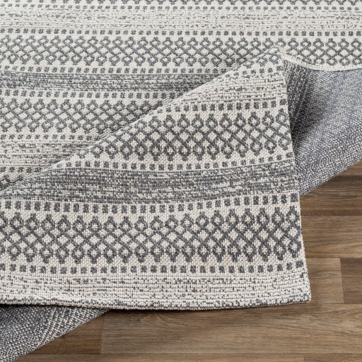 LCS-2309 2'2" x 3'9" Rug