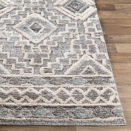 LMS-2310 2' x 3' Rug