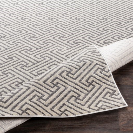 Surya Lagom 2' x 2'11" Rug