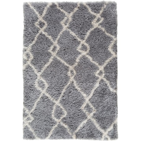 2' x 3' Rug