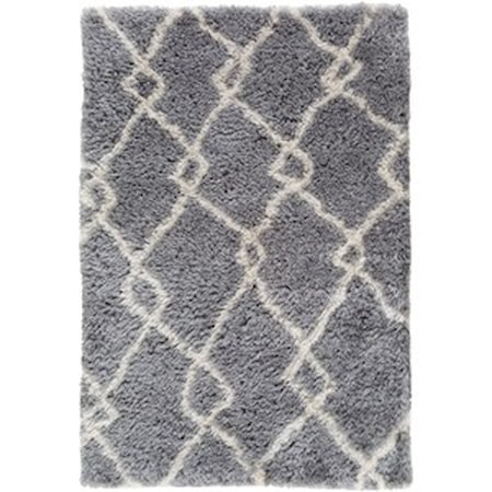 2' x 3' Rug