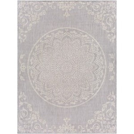 6'7" x 9' Rug
