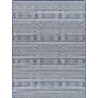 5'3" x 7' Rug