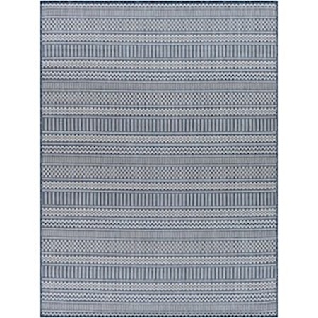 6'7" x 9' Rug