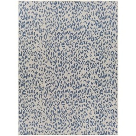 7'10" x 10' Rug